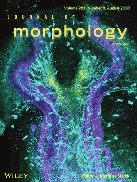 Journal of Morphology