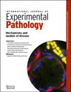 INTERNATIONAL JOURNAL OF EXPERIMENTAL PATHOLOGY